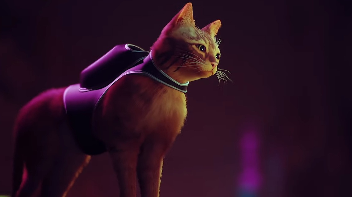 Stray: o jogo para humanos que é um sucesso entre os gatos